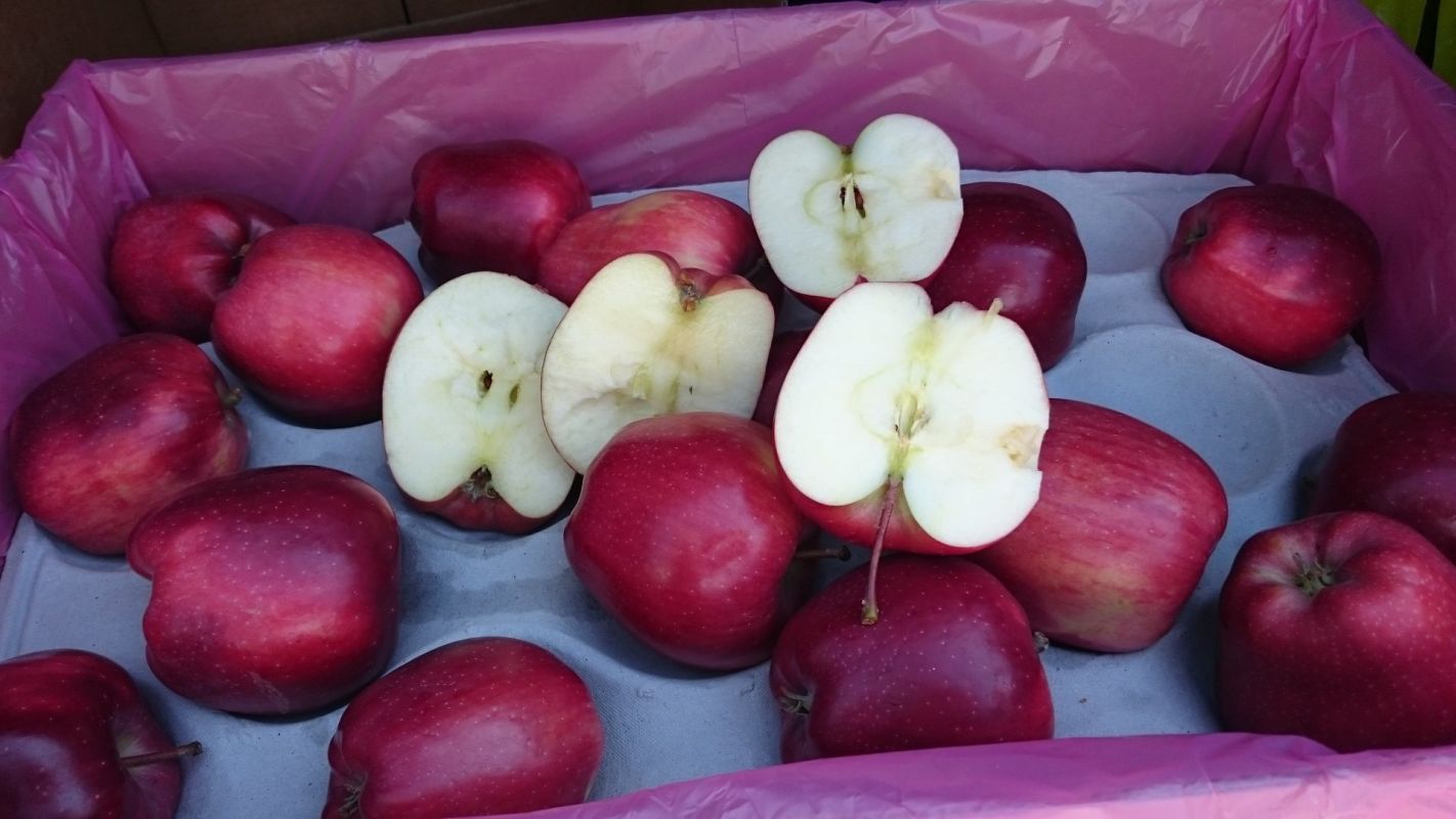 Яблоки Молдова сорта